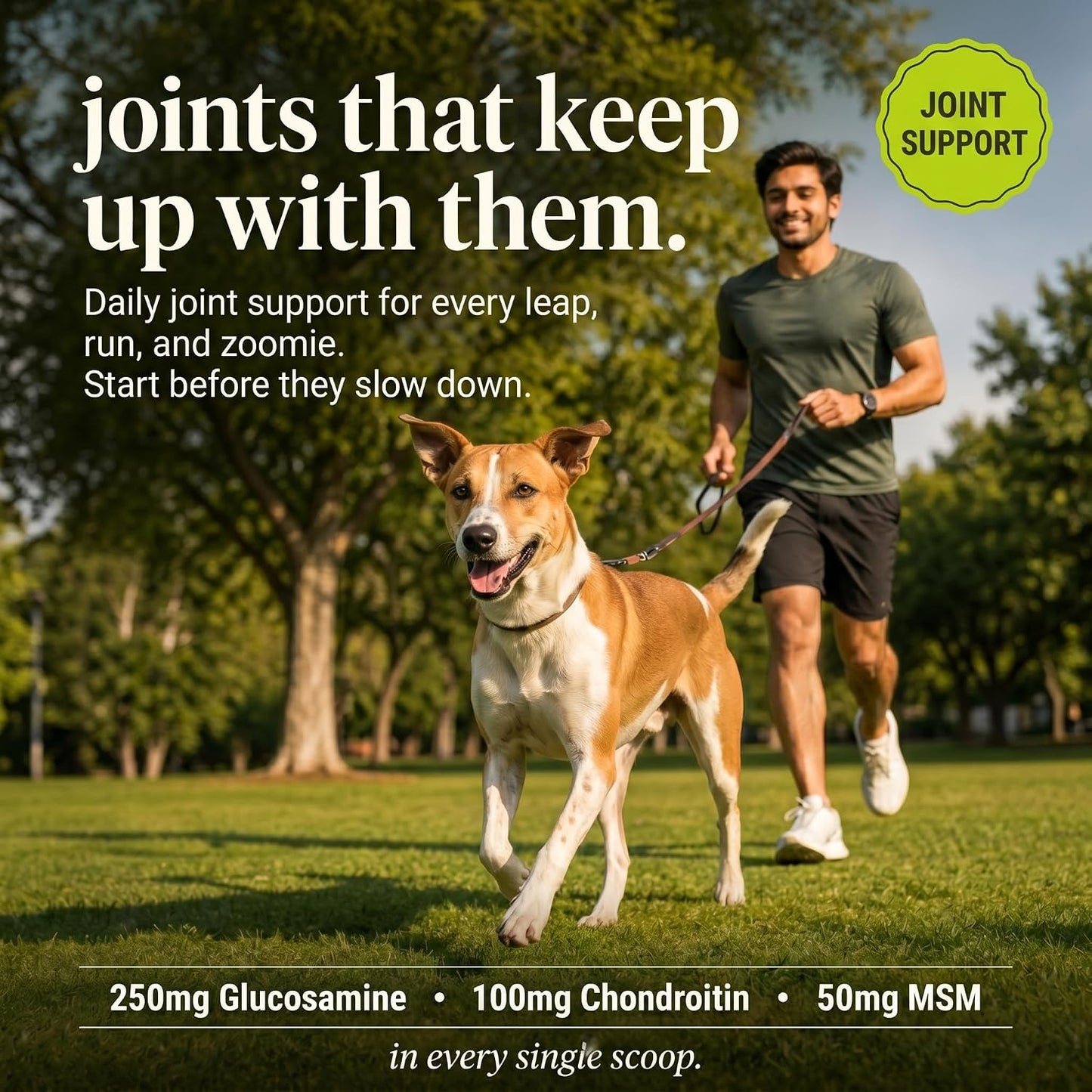 Whisker and Wilde Daily Dog Supplement | Probiotics for Dogs | Supports Gut Health, Joint Health, Skin and Coat | Multivitamin | 12-in-1 Vet-Formulated | Glucosamine + Chondroitin | Omega-3 | 300g