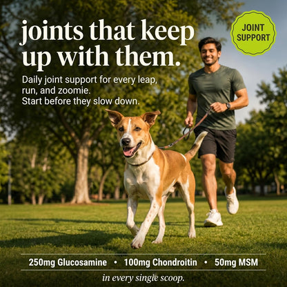 Whisker and Wilde Daily Dog Supplement | Probiotics for Dogs | Supports Gut Health, Joint Health, Skin and Coat | Multivitamin | 12-in-1 Vet-Formulated | Glucosamine + Chondroitin | Omega-3 | 300g