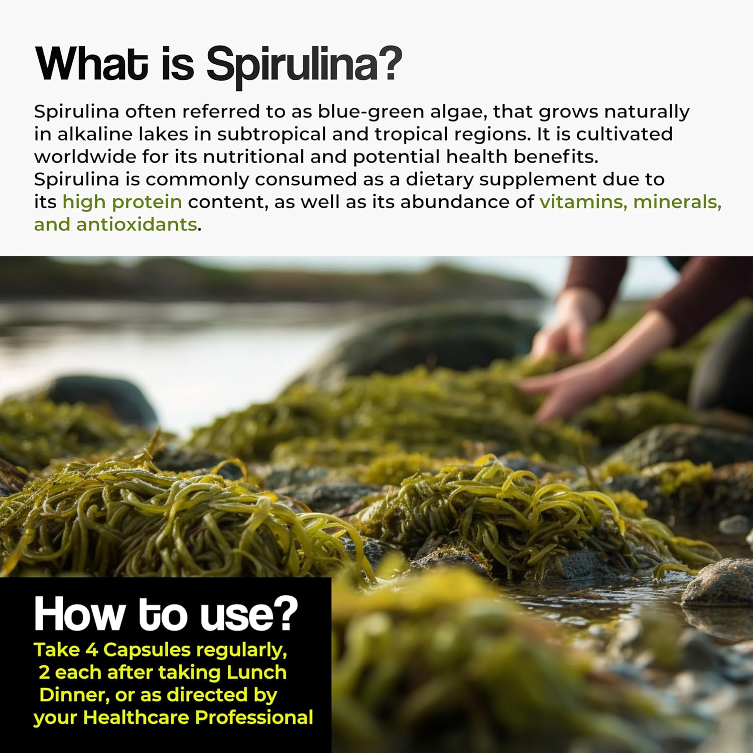 Zephivo HEALTH VEDA ORGANICS PRIVATE LIMITED Plant Based Spirulina, 2000 mg | 120 Veg Capsules I Supports Weight Management & Boosts Immunity | For both Men & Women