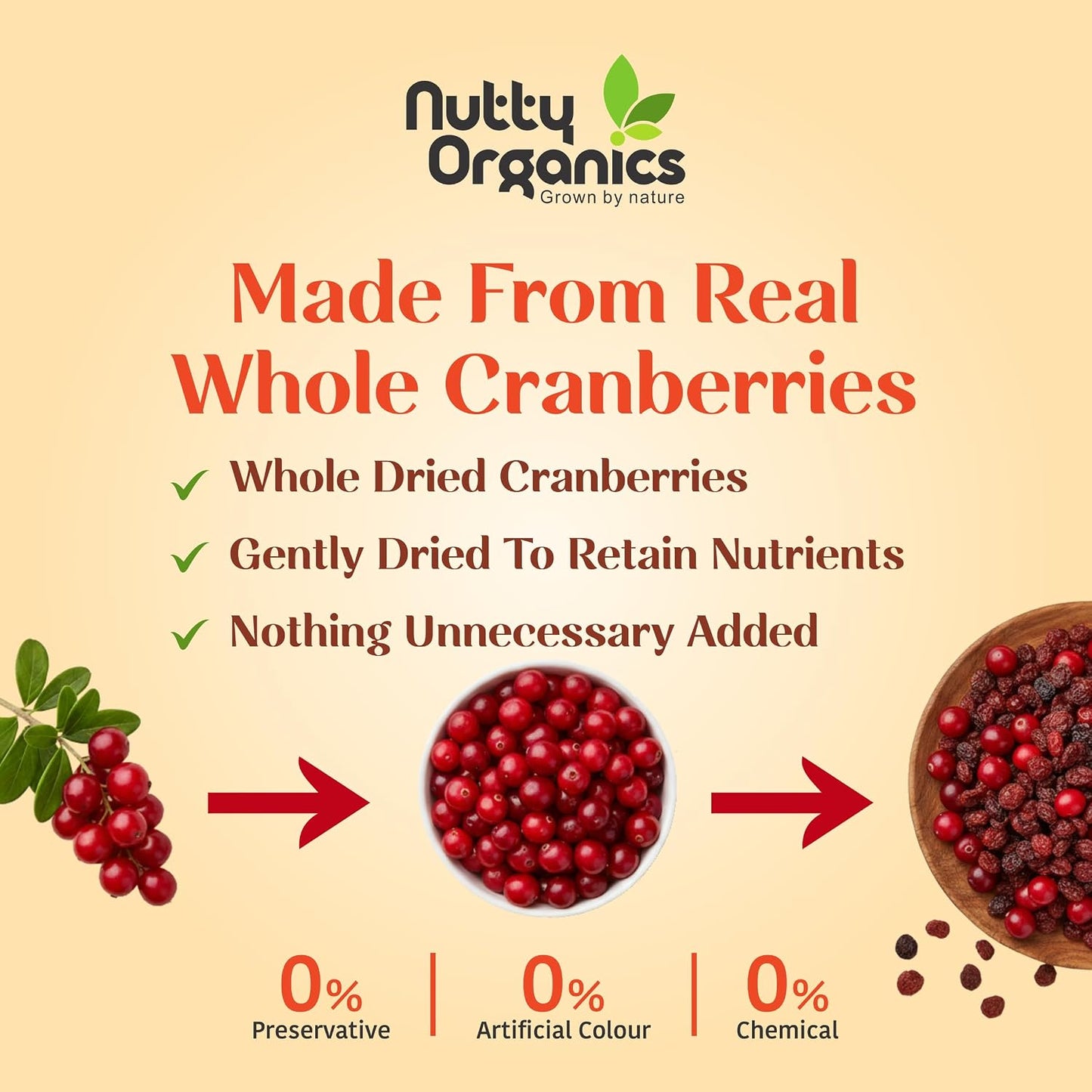 Nutty Organics Dried Cranberry, No Refined Sugar, 100% Natural, Rich in Antioxidants, High in Vitamin C, 200g