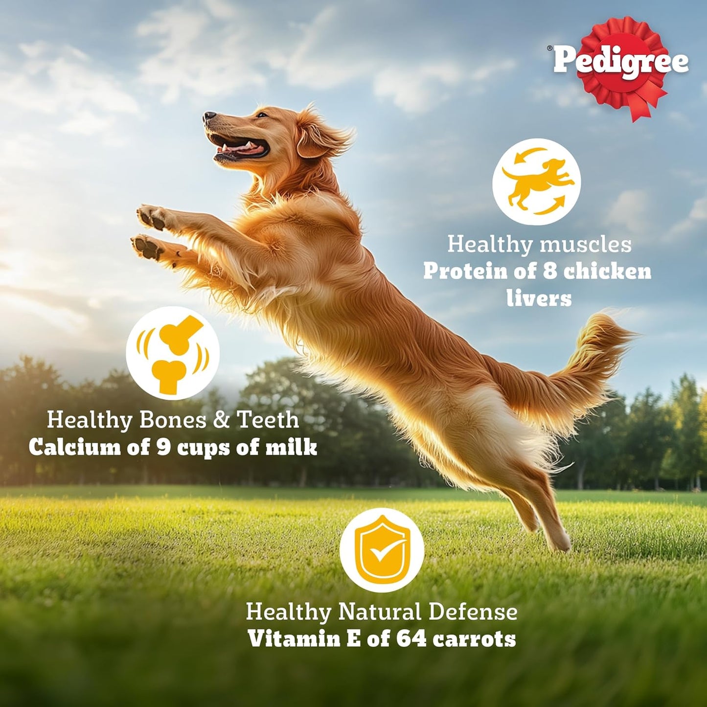 Pedigree Adult Dry Dog Food, Meat & Rice, 1 kg, Contains 37 Essential Nutrients, 100% Complete & Balanced Food for Adult Dogs
