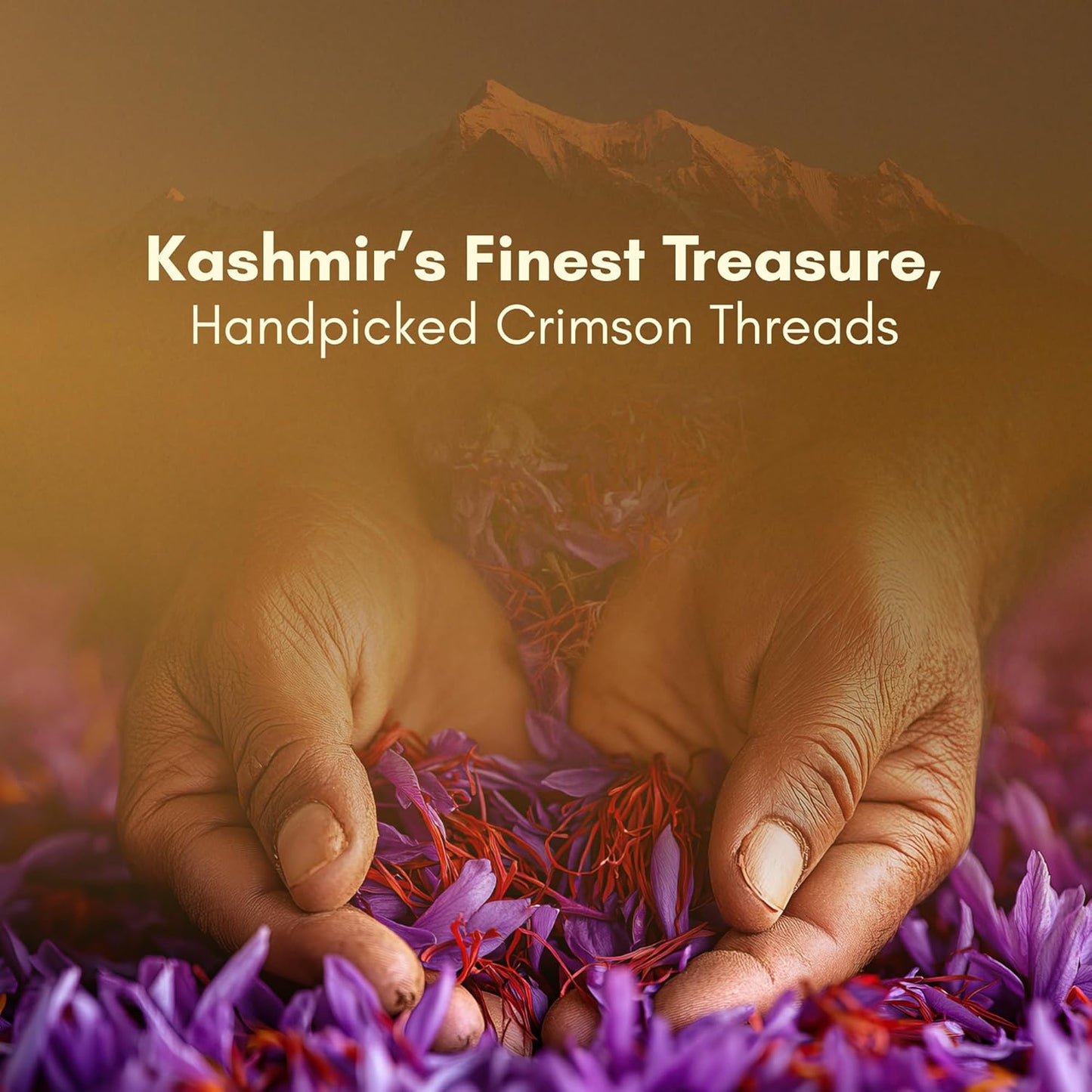 Hands holding saffron with text 'Kashmir's Finest Treasure, Handpicked Crimson Threads' on a warm-toned background.