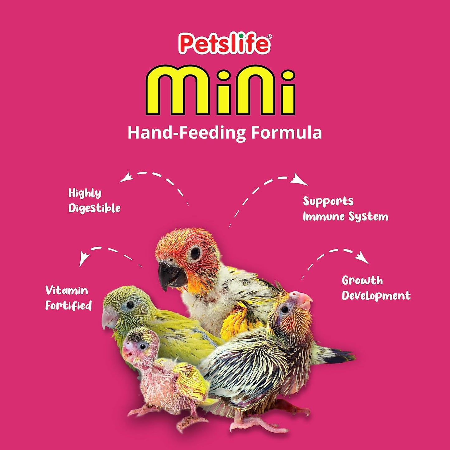 Petslife Mini Hand Feeding Formula for All Baby Birds, 180g | Baby Bird Feeding Formula