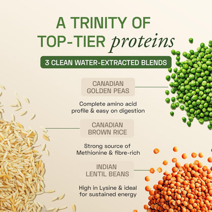 Ace Blend Unflavoured Plant Protein Triple Complex 500g | Brown Rice, Pea & Lentil | 26G / Serving | Complete Amino Acids | Gut Friendly | Soluble Food Fortifier for Aata, Dosas, Gravies, Baking