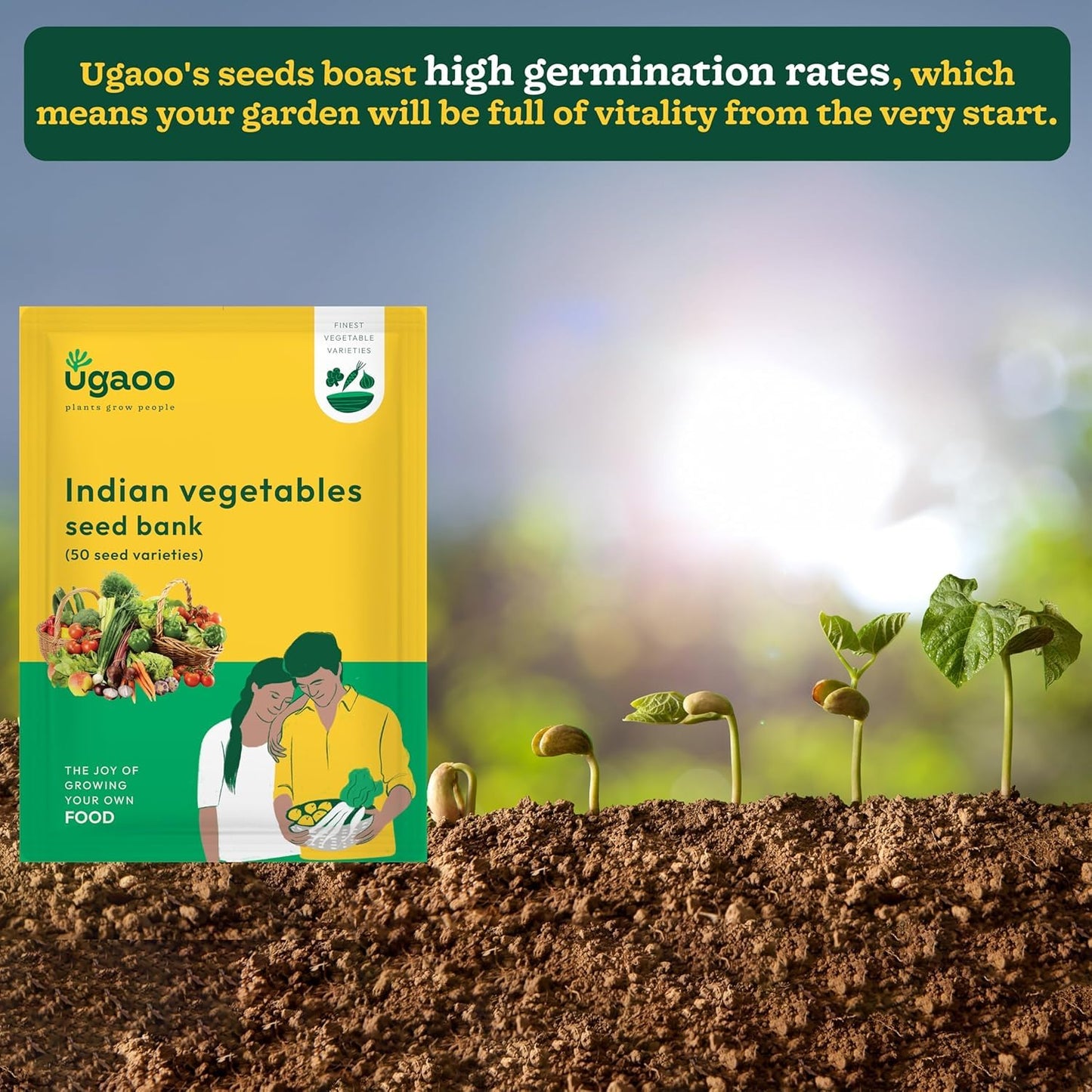UGAOO Vegetable Seed Vault Kit – 50 Varieties, 2255+ Non-GMO Vegetable Seeds for Home Garden & Survival Gardening
