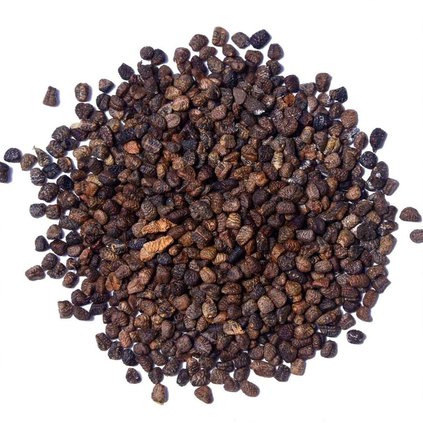 HIGHLAND Spices | Premium Green Cardamom (Elaichi) Seeds | 50g | 100% Natural, Fresh & Pure | Aroma-Locked at Origin | No Added Colours or Preservatives | Natural Mouth Freshener | Choti Ilachi Dana for Gourmet Cooking & Wellness | 50g