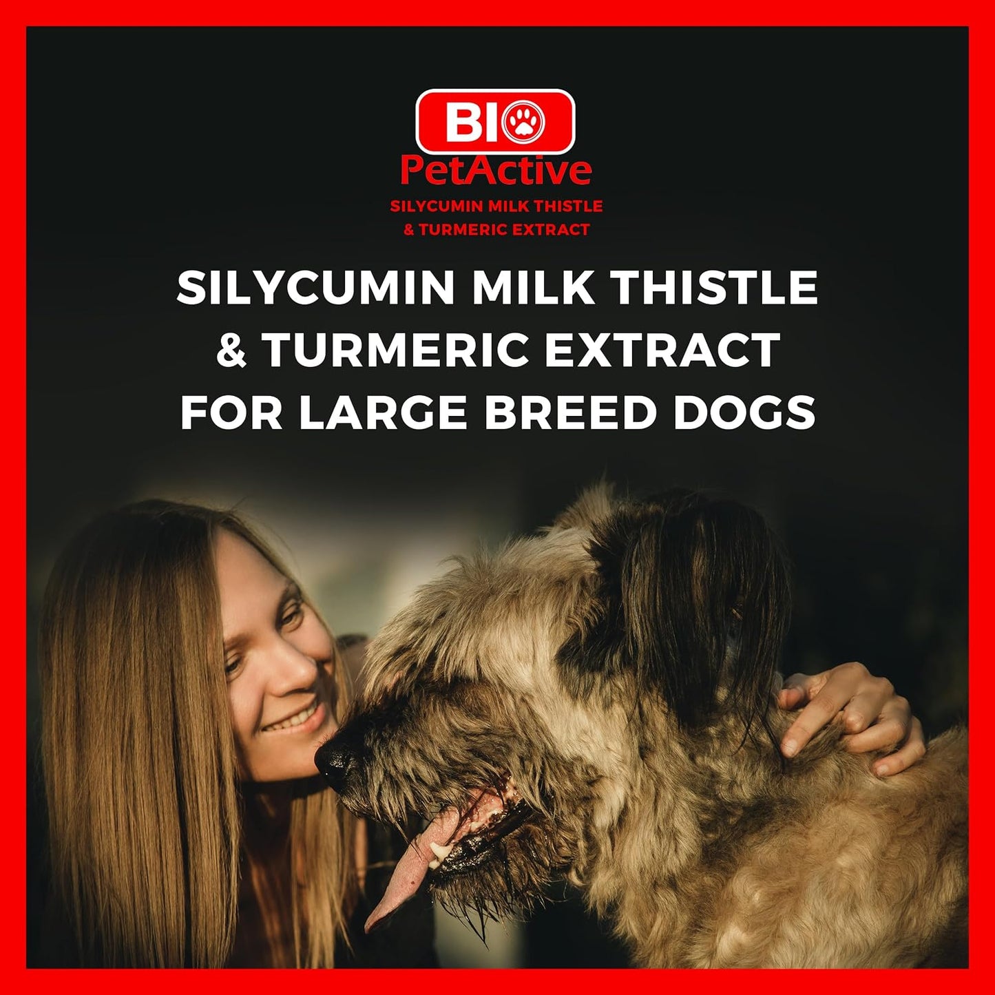 Bio PetActive Silycumin 1,5 g 50 Tablets Milk Thistle & Turmeric Extract Silymarin Curcumin Kidney & Liver Support Suitable for Large Breed Dogs