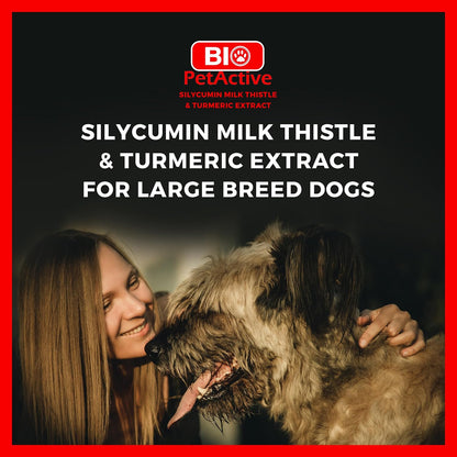 Bio PetActive Silycumin 1,5 g 50 Tablets Milk Thistle & Turmeric Extract Silymarin Curcumin Kidney & Liver Support Suitable for Large Breed Dogs