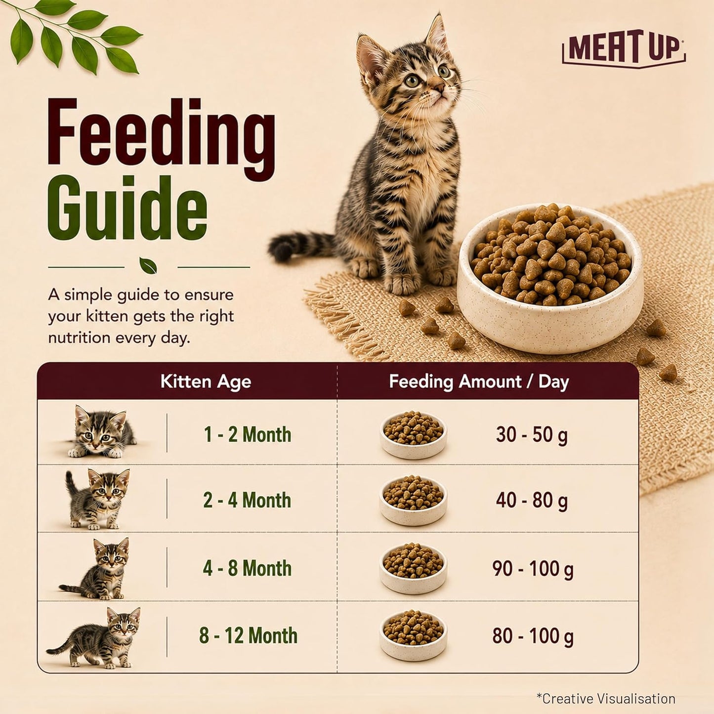 Meat Up Kitten Dry Cat Food (Up to 12 Months) 1.2kg Pack | Ocean Fish Flavour | Complete Nutrition | Taurine for Heart