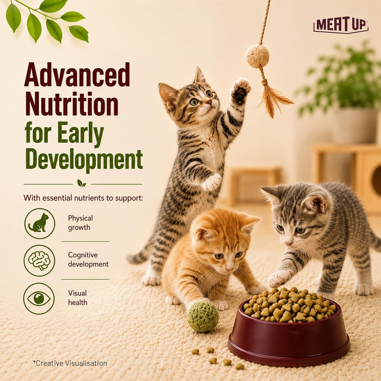 Meat Up Kitten Dry Cat Food (Up to 12 Months) 1.2kg Pack | Ocean Fish Flavour | Complete Nutrition | Taurine for Heart