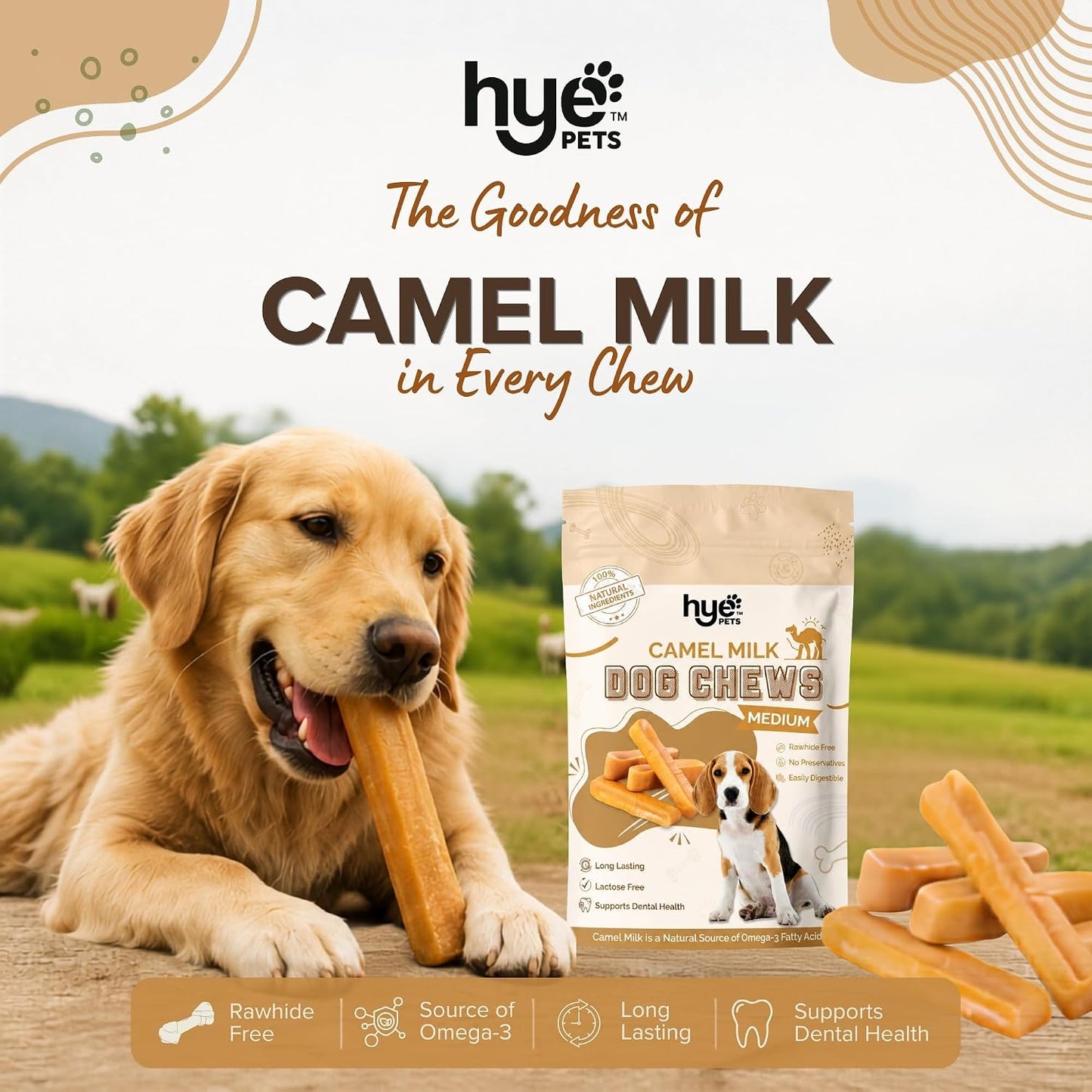 HYE Pets Camel Milk Dog Chews, Rawhide Free Long Lasting Dental Chews, High Protein Natural Dog Treats | Omega-3 Rich & Easily Digestible, Medium - 2 Chews