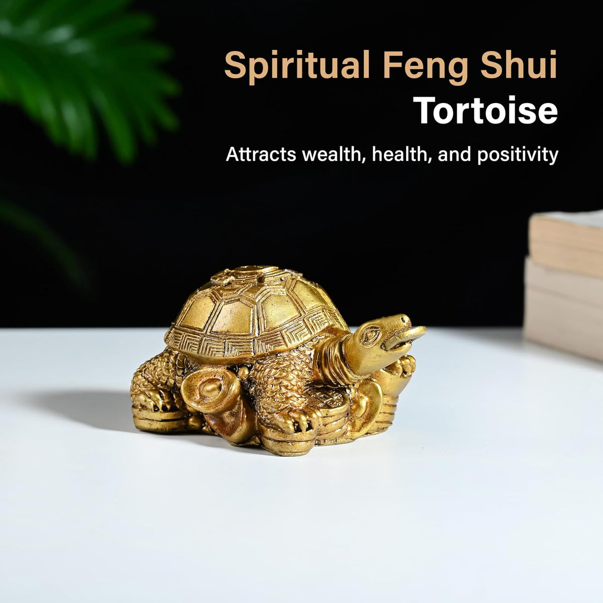 Vastu Item | Feng Shui Golden Turtle with Coins | Good Luck Symbol for Wealth, Health & Stability | Ideal for Home, Office, Pooja Room & Mothers Day Gifting