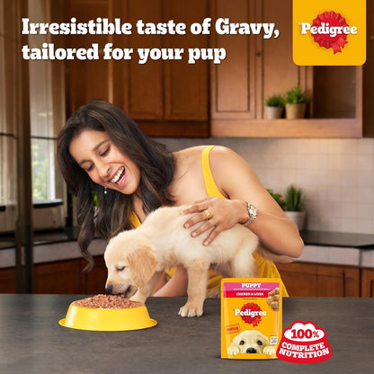 Pedigree Puppy Wet Dog Food, Chicken & Liver Chunks in Gravy, 70 g, Complete & Balanced Meal for Puppies