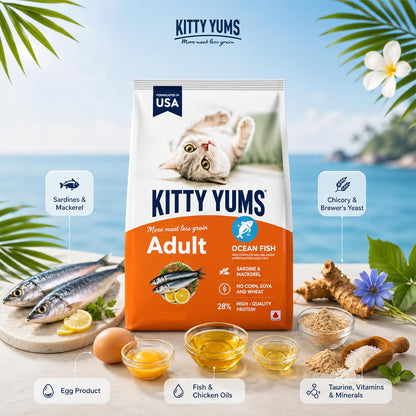 Kitty Yums Adult (+1 Year) Dry Cat Food 1.2kg Pack | Ocean Fish Flavour | Develop Strong Bones | Healthy Skin & Coat | Supports Digestive System | Maintains a Healthy Heart