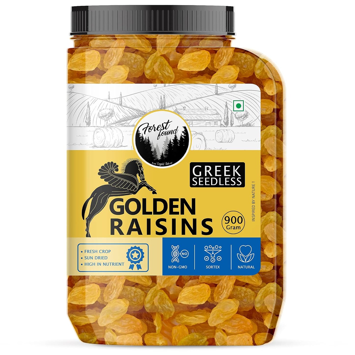 Forest Found Greek Seedless Golden Raisins | Large Golden Kishmish | Natural Dried Grapes for Energy | High Antioxidant Kishmish for Immunity & Skin Health