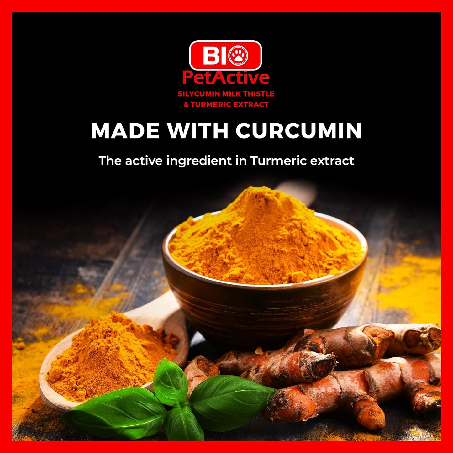 Bio PetActive Silycumin 1,5 g 50 Tablets Milk Thistle & Turmeric Extract Silymarin Curcumin Kidney & Liver Support Suitable for Large Breed Dogs