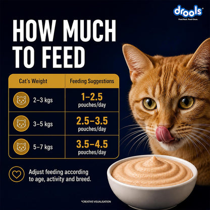 Drools Adult Cat Wet Mousse 80g Pack of 5, 400g | Chicken Flavour | Rich in Protein | Promotes Hydration & Easy to Digest| No Artificial Flavours | Packed with Essential Vitamins & Antioxidants