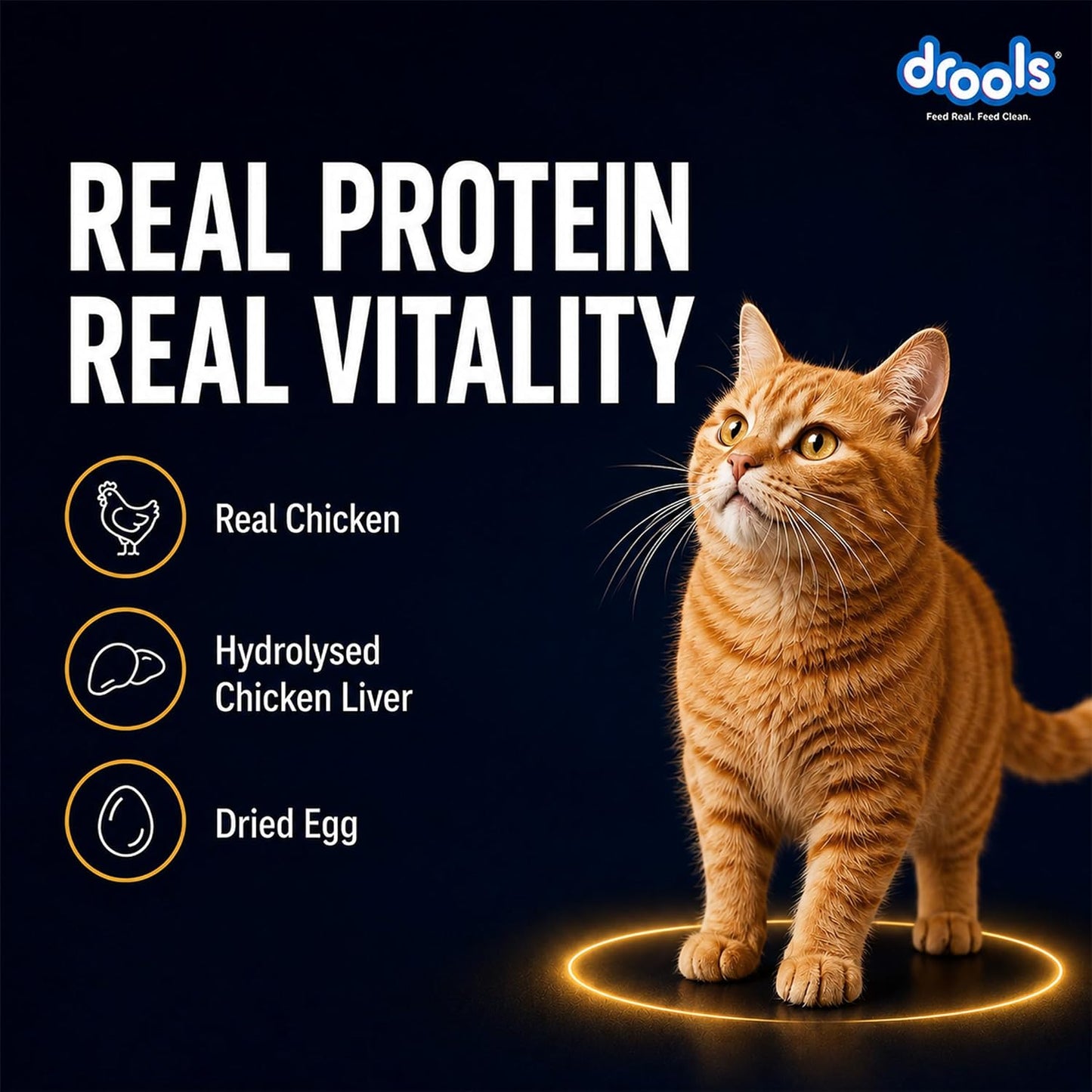 Drools Adult Cat Wet Mousse 80g Pack of 5, 400g | Chicken Flavour | Rich in Protein | Promotes Hydration & Easy to Digest| No Artificial Flavours | Packed with Essential Vitamins & Antioxidants