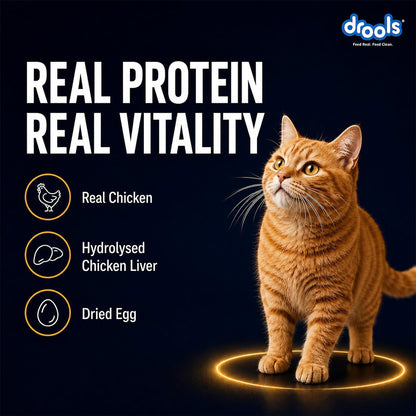 Drools Adult Cat Wet Mousse 80g Pack of 5, 400g | Chicken Flavour | Rich in Protein | Promotes Hydration & Easy to Digest| No Artificial Flavours | Packed with Essential Vitamins & Antioxidants