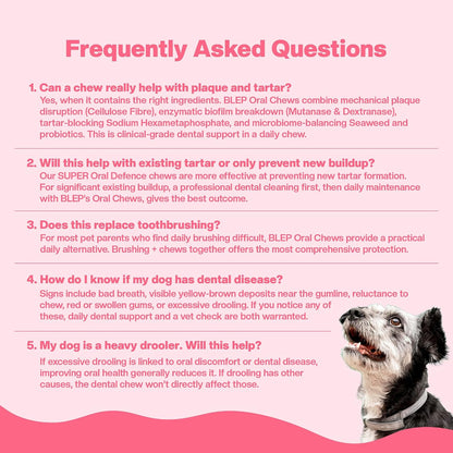 BLEP Super Oral Defence - Dog Dental Supplement, Bad Breath, Plaque, Tartar & Gum Health | Seaweed, Enzymes & Probiotics | Daily Teeth Cleaning | Chicken Chew Sticks, 60g