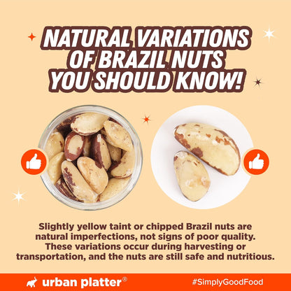 Urban Platter Brazil Nuts, 100g (Rich in Selenium | Superfood | Have 1 Daily | Product of Peru)