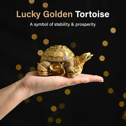 Vastu Item | Feng Shui Golden Turtle with Coins | Good Luck Symbol for Wealth, Health & Stability | Ideal for Home, Office, Pooja Room & Mothers Day Gifting
