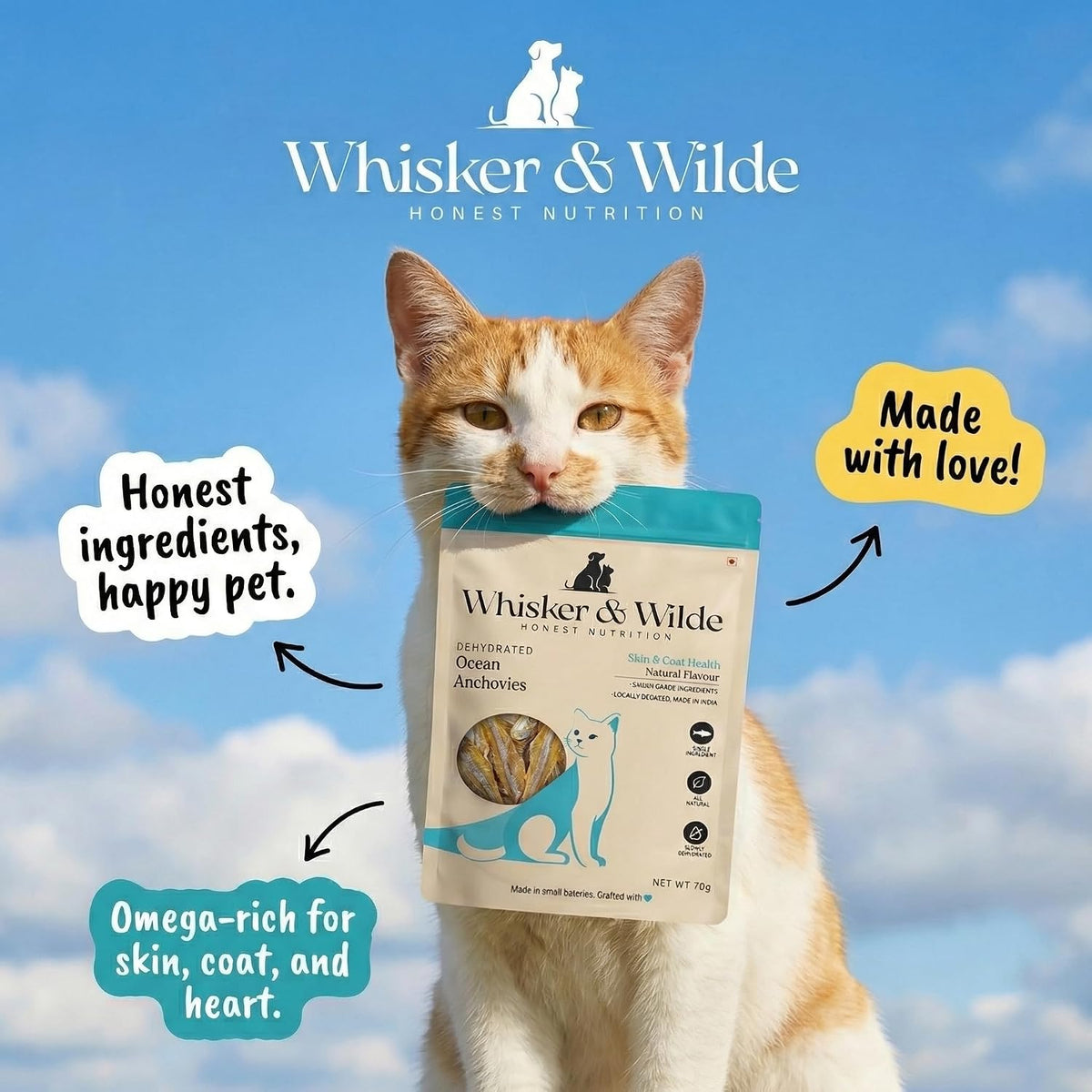Whisker and Wilde Dehydrated Anchovies | Cat Treats | Natural Taurine & Omega-3 | Heart Health & Silky Coat | Training and Reward | Dental Chew | Human-Grade | No Preservatives | 70g