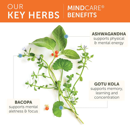 Key herbs with their benefits on a white background