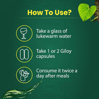 Instructions on how to use Giloy capsules with a green background and leaf graphics.