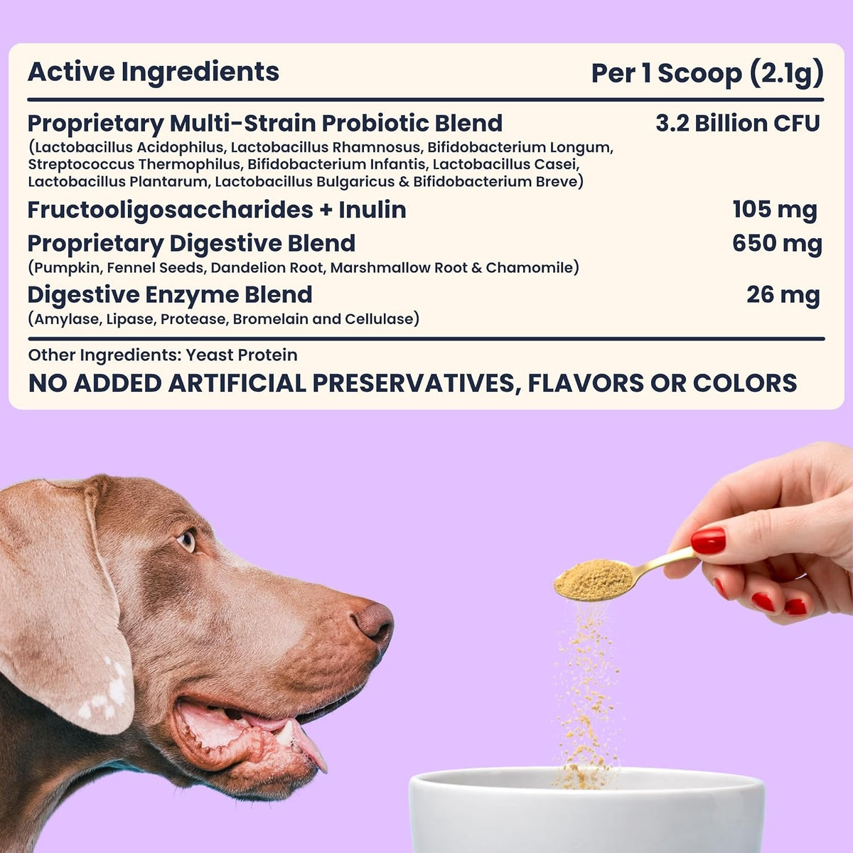 My Fur Child Advanced Digestive Support for Dogs | 3.2 Billion CFU 9-Strain Probiotics, Digestive Enzymes, Pumpkin & Prebiotics | Supports Gut Health, Digestion & Stool Quality | Lasts Up to 60 Days
