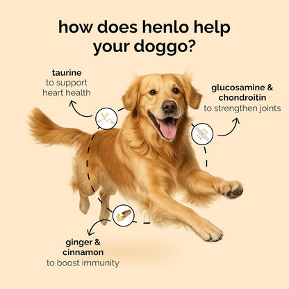 Henlo Baked Chicken & Rice Dry Dog Food | 100% Human Grade Ingredients | 800G | Dry Food for Adult Dogs & Puppies