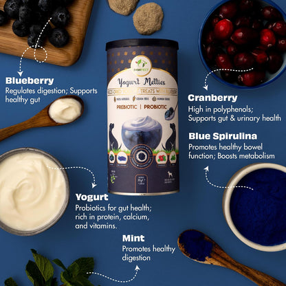 Pawfect Yogurt Melties Freeze Dried Pre and Probiotic Dog Treats with Blueberry, Cranberry, Blue Spirulina & Mint - Healthy Gut - Low Calories - Grain & Gluten Free - Training Treats (38g/1.34oz)