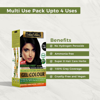 INDUS VALLEY Damage Free Natural Gel Hair Colour for Women | Ammonia & PPD Free Organic Hair Colour with 100% Grey Coverage, Long Lasting Conditioning Hair Color | Black 1.00-220 ml