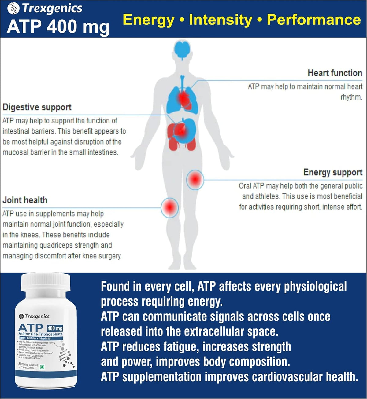 Advertisement for Trexegenics ATP supplement highlighting energy, intensity, and performance benefits with a body diagram and product packaging.