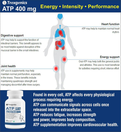 Advertisement for Trexegenics ATP supplement highlighting energy, intensity, and performance benefits with a body diagram and product packaging.