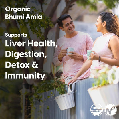 The Nature's Society ® Bhumi Amla Powder Organic 100gm | Raw Cold Grind | USA Organic Certified | Pure Bhoomi Amla Powder for Liver Health, Digestion & Detox | Rich in Nutrients and Antioxidants |