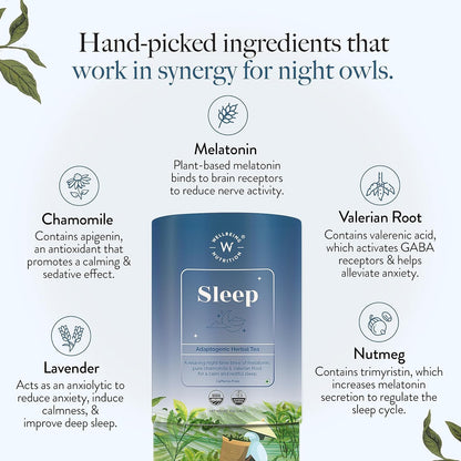 WELLBEING NUTRITION Sleep Tea|Caffeine Free Tea Bags For Insomnia & Stress Relief,Relaxation & Improved Sleep Quality|5Mg Melatonin,Chamomile,Valerian Root,Lavender (20 Pyramid Tea Bags) - Chamomile