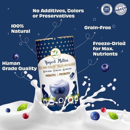 Pawfect Yogurt Melties Freeze Dried Pre and Probiotic Dog Treats with Blueberry, Cranberry, Blue Spirulina & Mint - Healthy Gut - Low Calories - Grain & Gluten Free - Training Treats (38g/1.34oz)