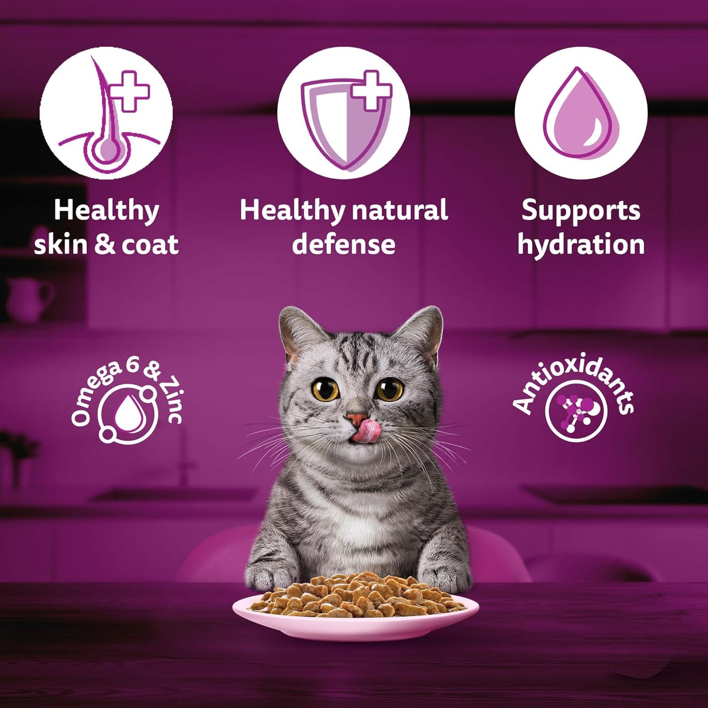 Whiskas Adult (1+ Years) Wet Cat Food, Salmon in Gravy, 80 g Hydrating Food Made With Real Fish, 100% Complete & Balanced Nutrition for Adult Cats