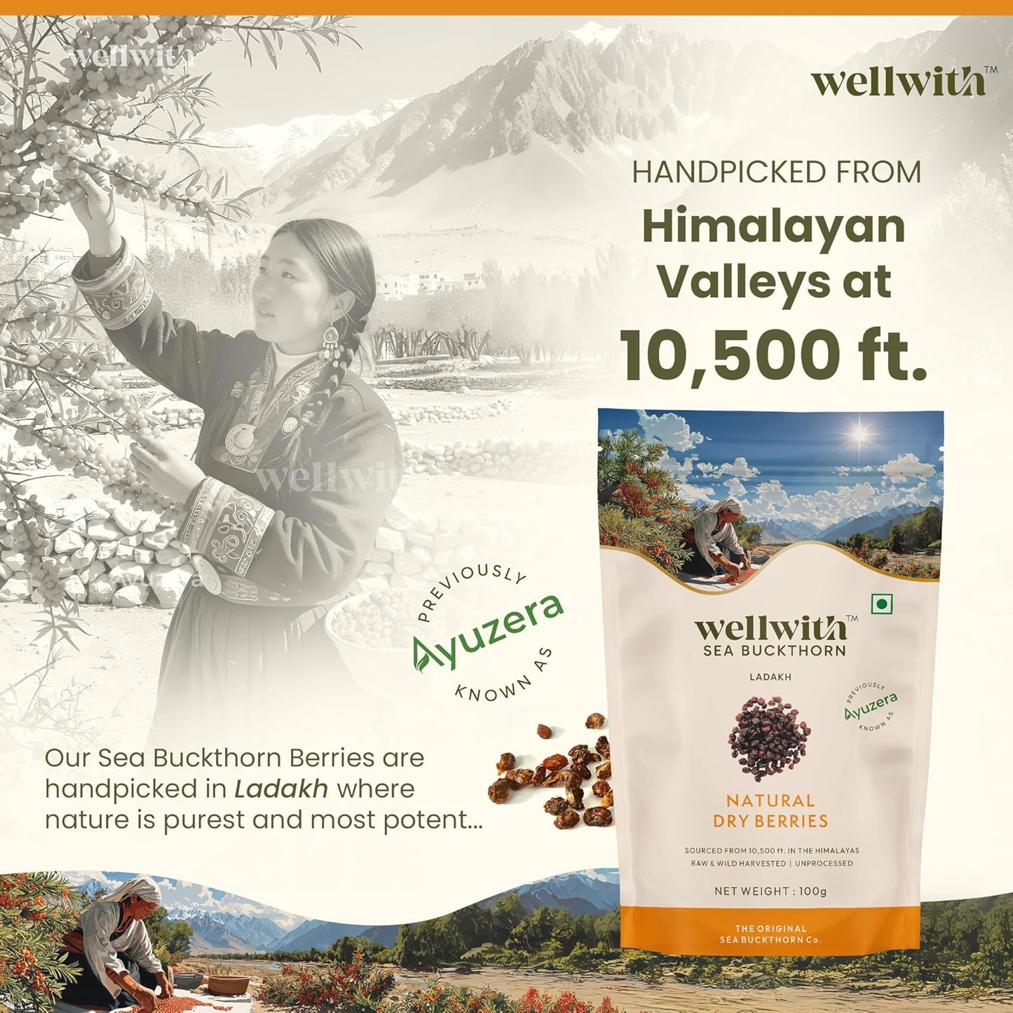 Wellwith by Ayuzera Sea buckthorn Dry Berry 100g – Natural, Sun-Dried, Rich in Omega 3,6,7 and 9, & Vitamin C, E | Dried Seabuckthorn Berries | No Added Sugar or Preservatives