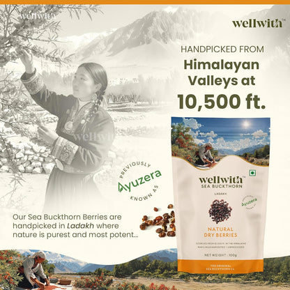 Wellwith by Ayuzera Sea buckthorn Dry Berry 100g – Natural, Sun-Dried, Rich in Omega 3,6,7 and 9, & Vitamin C, E | Dried Seabuckthorn Berries | No Added Sugar or Preservatives