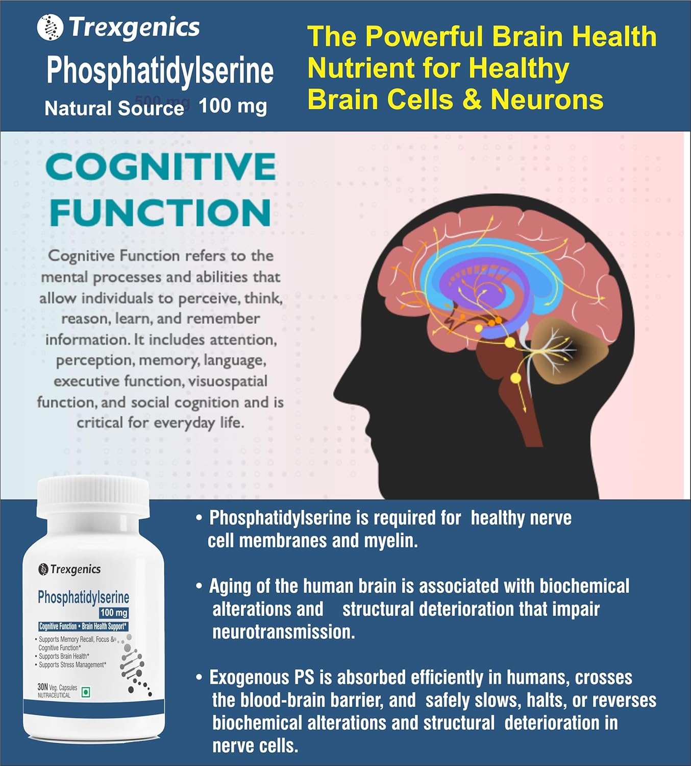 Trexegenics Phosphatidylserine supplement advertisement with brain illustration and text about cognitive function.