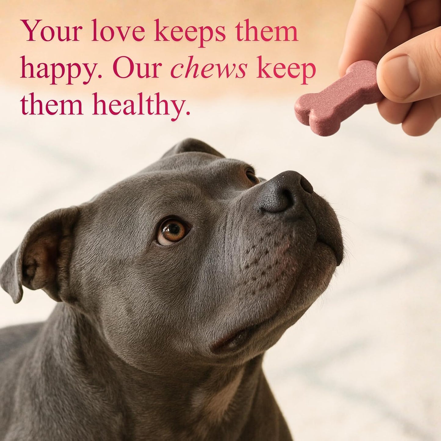 Petroyale Calcium Chews for Dogs - Calcium Supplement for Dogs with Multivitamins - Dog Calcium Tablets for Strong Bones, Joints & Teeth - Calcium for Dog Soft Chew - 50 Chewable Soft Chews