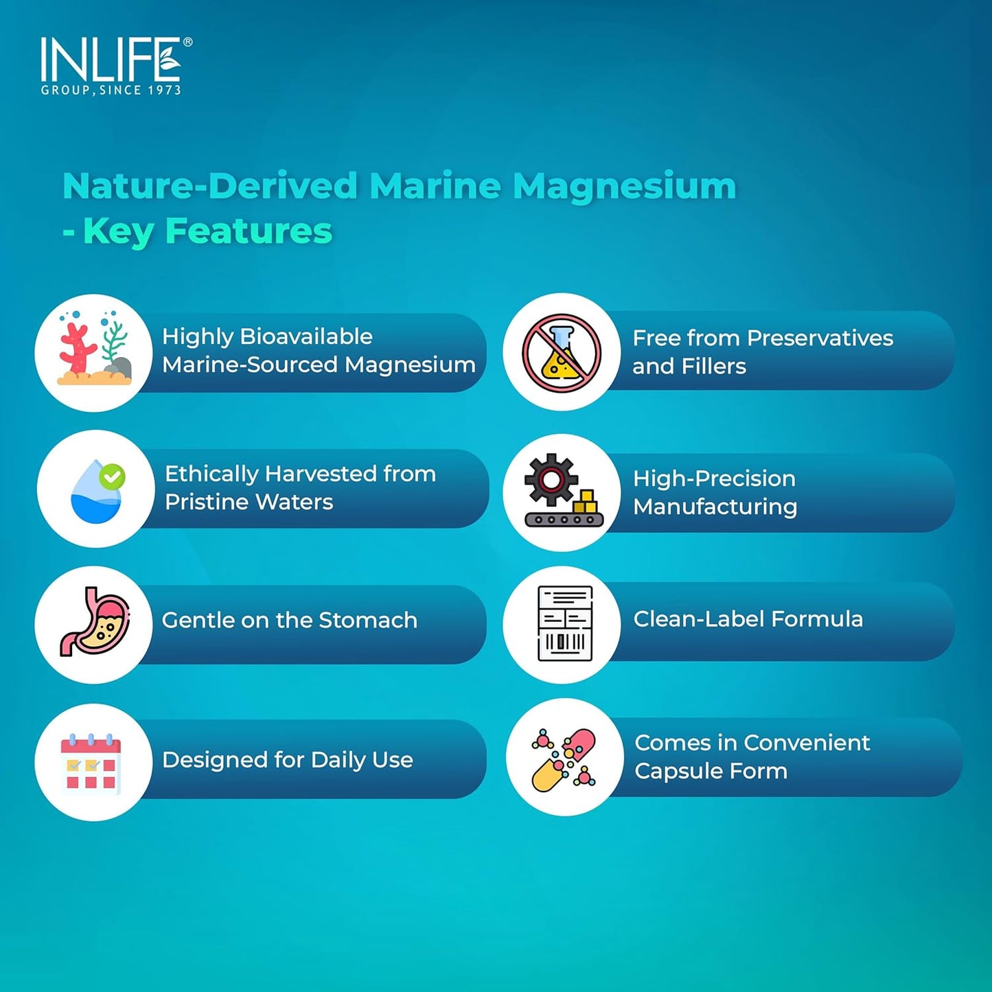 INLIFE Marine Magnesium Supplement 1060mg | Aquamin Mg Naturally Sourced from Red Algae with Zinc Gluconate | Multi-Mineral Complex | Supports Muscle Function, Energy, Metabolism & Daily Wellness | 60 Vegetarian Capsules (60)