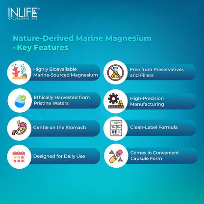 INLIFE Marine Magnesium Supplement 1060mg | Aquamin Mg Naturally Sourced from Red Algae with Zinc Gluconate | Multi-Mineral Complex | Supports Muscle Function, Energy, Metabolism & Daily Wellness | 60 Vegetarian Capsules (60)