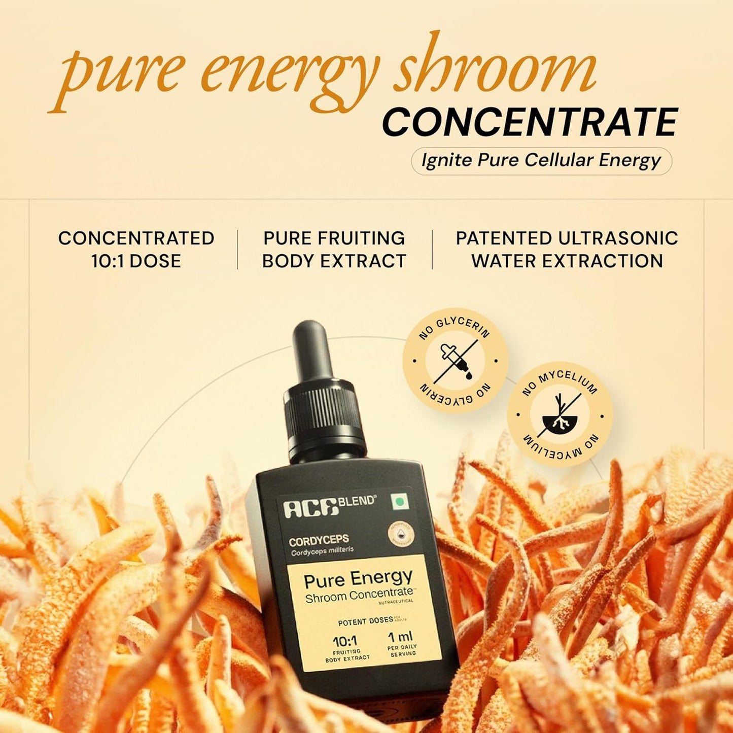 Ace Blend Energy Shroom Concentrate | Cordyceps Mushroom Extract Liquid | 30ml, 30 servings | 10:1 Concentrate | Ultrasonic Extracted Mushroom Blend | Daily Supplement | For Engery & Stamina