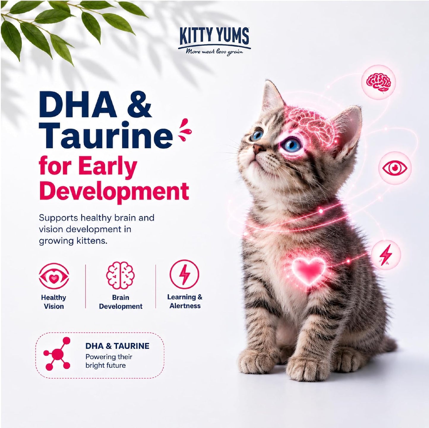 Kitty Yums Kitten (1-12 Months) Dry Cat Food 1.2kg Pack | Ocean Fish Flavour | Support Digestive Health | Strong Vision Development | Strong Immune System