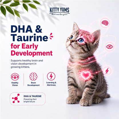 Kitty Yums Kitten (1-12 Months) Dry Cat Food 1.2kg Pack | Ocean Fish Flavour | Support Digestive Health | Strong Vision Development | Strong Immune System