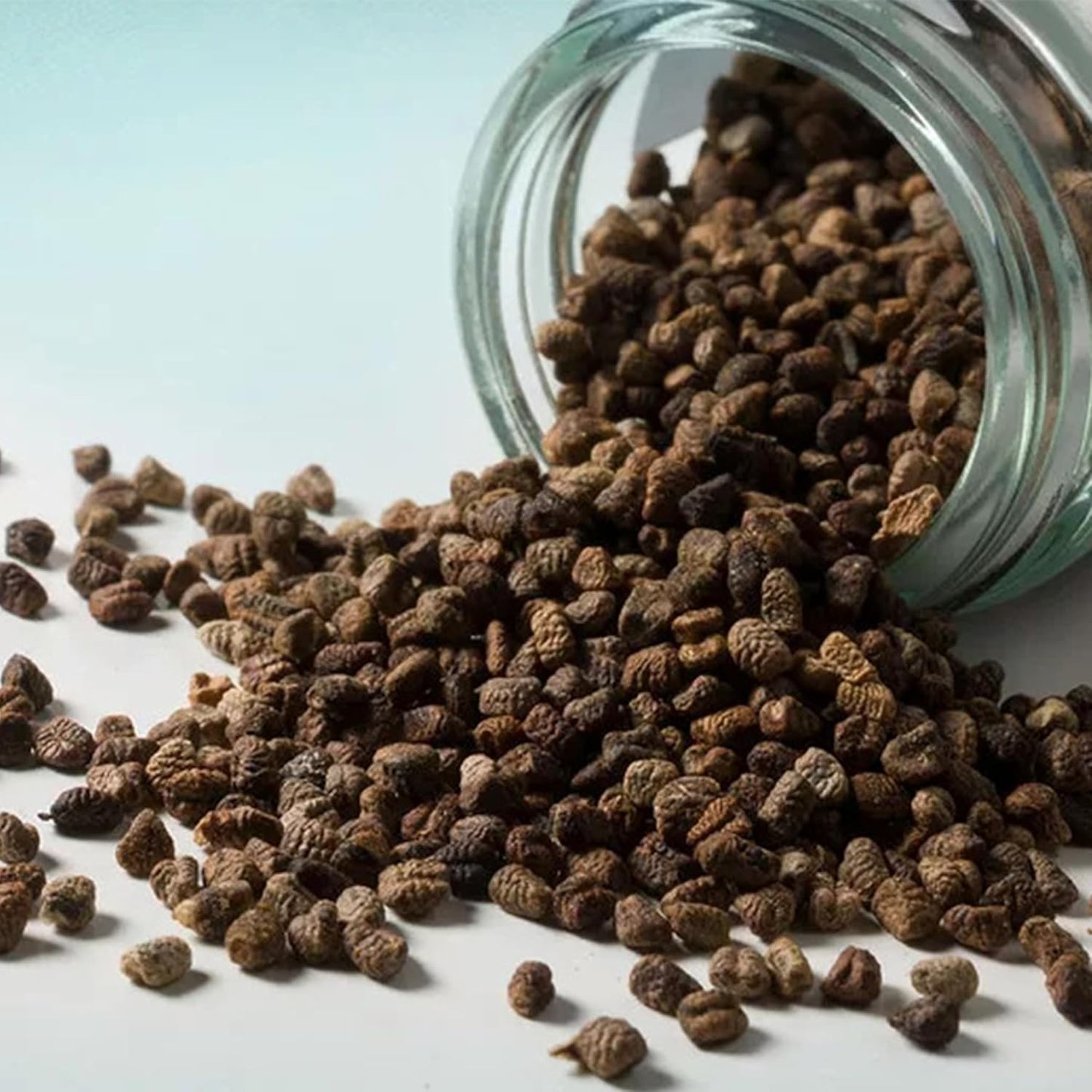 HIGHLAND Spices | Premium Green Cardamom (Elaichi) Seeds | 50g | 100% Natural, Fresh & Pure | Aroma-Locked at Origin | No Added Colours or Preservatives | Natural Mouth Freshener | Choti Ilachi Dana for Gourmet Cooking & Wellness | 50g