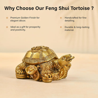 Vastu Item | Feng Shui Golden Turtle with Coins | Good Luck Symbol for Wealth, Health & Stability | Ideal for Home, Office, Pooja Room & Mothers Day Gifting